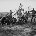 HF1-field-wagon