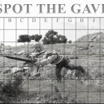 Spot-the-Gavl