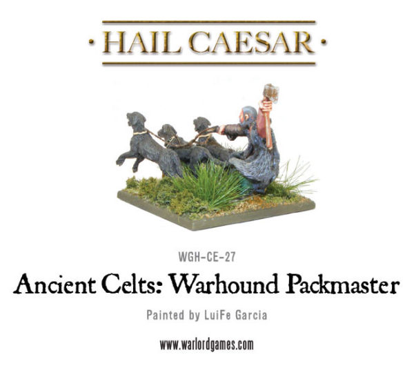 WGH-CE-27-Celt-Packmaster-c