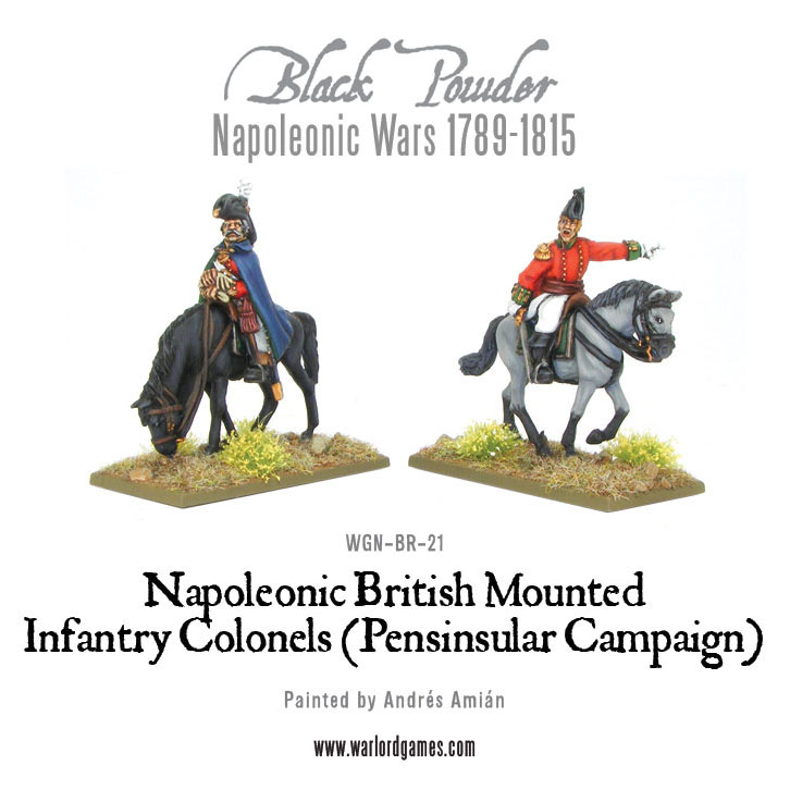 Napoleonic Wars Black Powder WGN-BR-29 Waterloo British Line Infantry Command 
