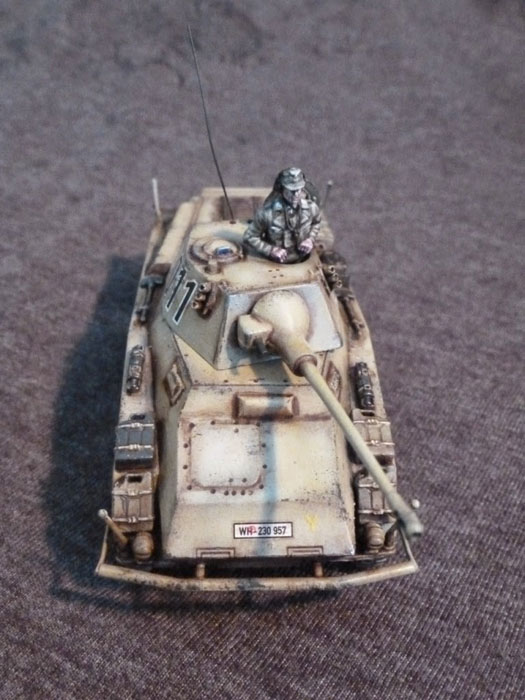 Andy-Singleton-Puma-3