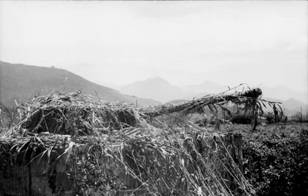 PantherturmItalyCamo