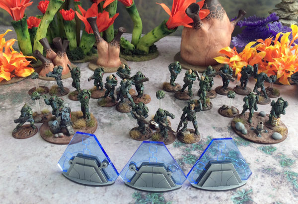 RichD 500pt Algoryn Army