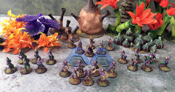 RichD 500pt Freeborn Army