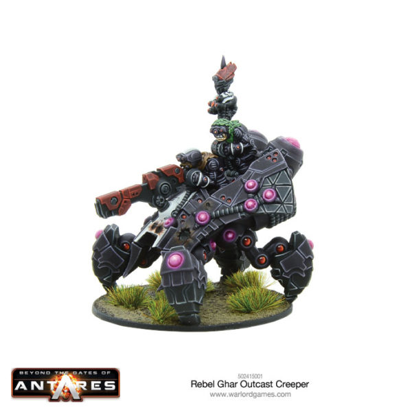 502415001-ghar-rebel-creeper-b