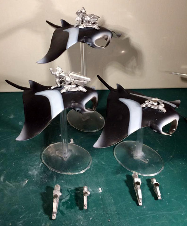 richd-feral-strikers