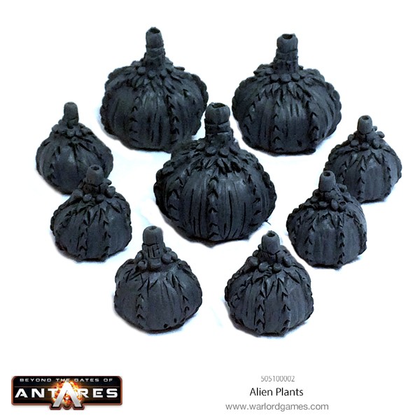505100002 Alien Plants A