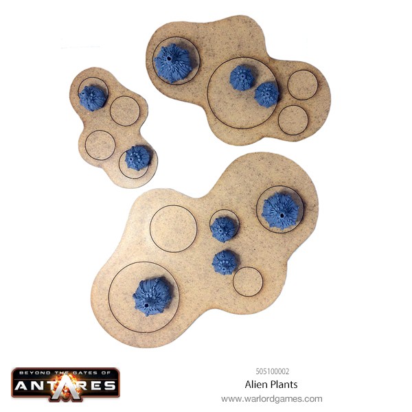 505100002 Alien Plants B