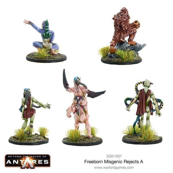 503014007-Freeborn-Misgenic-Rejects-A-02