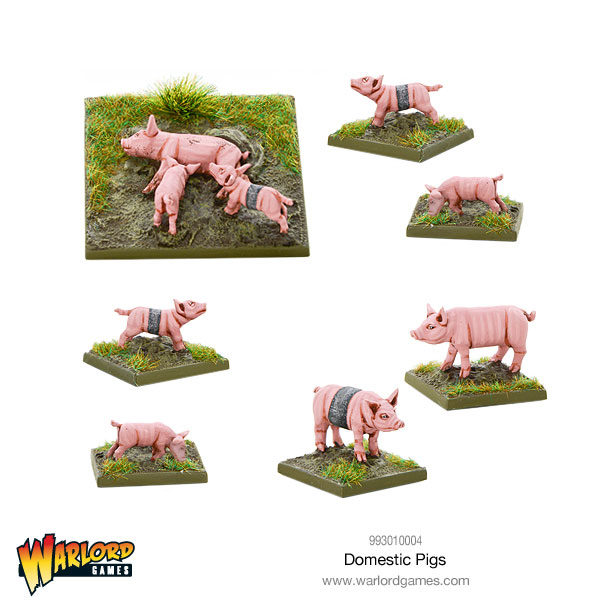 993010004-Domestic-Pigs-01