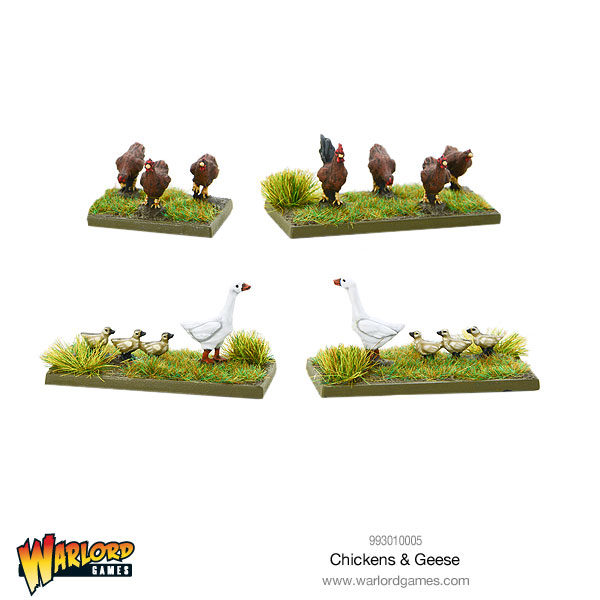 993010005-Chickens-&-Geese-01