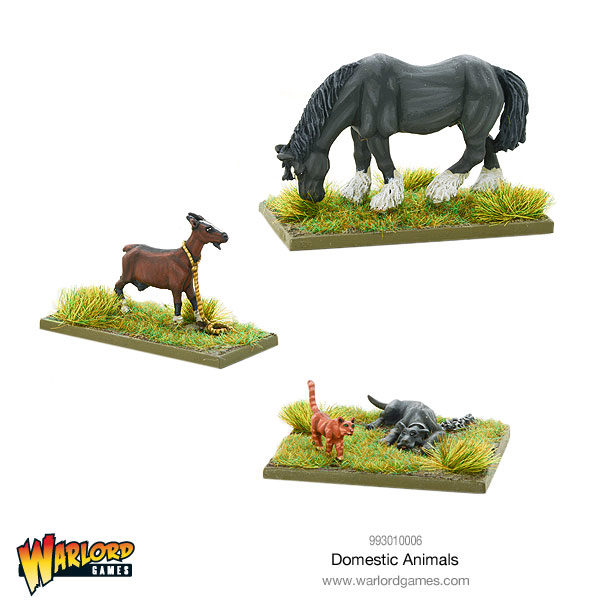 993010006-Domestic-Animals-01