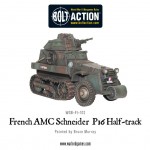 French AMC schneider