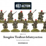 Senegalese Tirailleurs Infantry Section