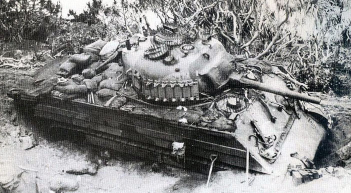 Sherman-with-Nailed-hatches-2.jpg