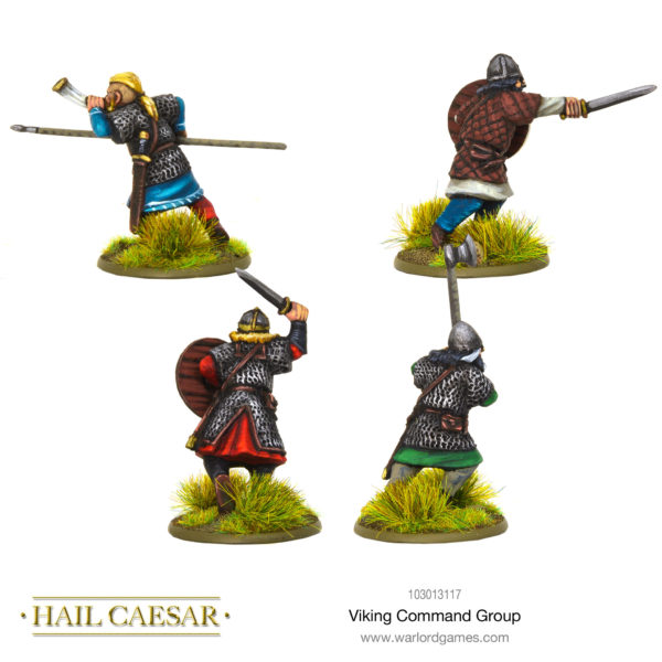 Viking Command Group rear