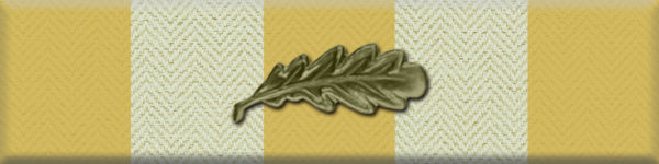 War Reporter Ribbon