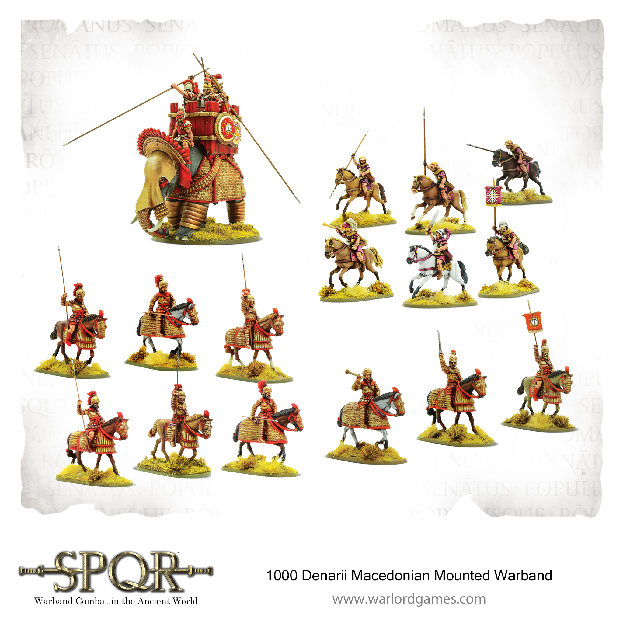 1000 Denarii Macedonian Mounted Warband