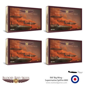 RAF Big Wing