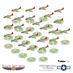 USAAF Fighter Group