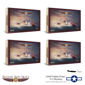 USAAF Fighter Group