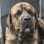 Profile picture of Steven Gusky