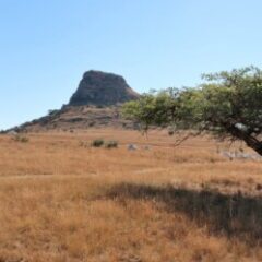 Profile picture of John