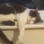 Profile picture of Armchair