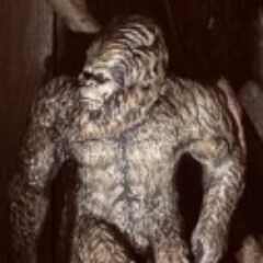 Profile picture of Charles